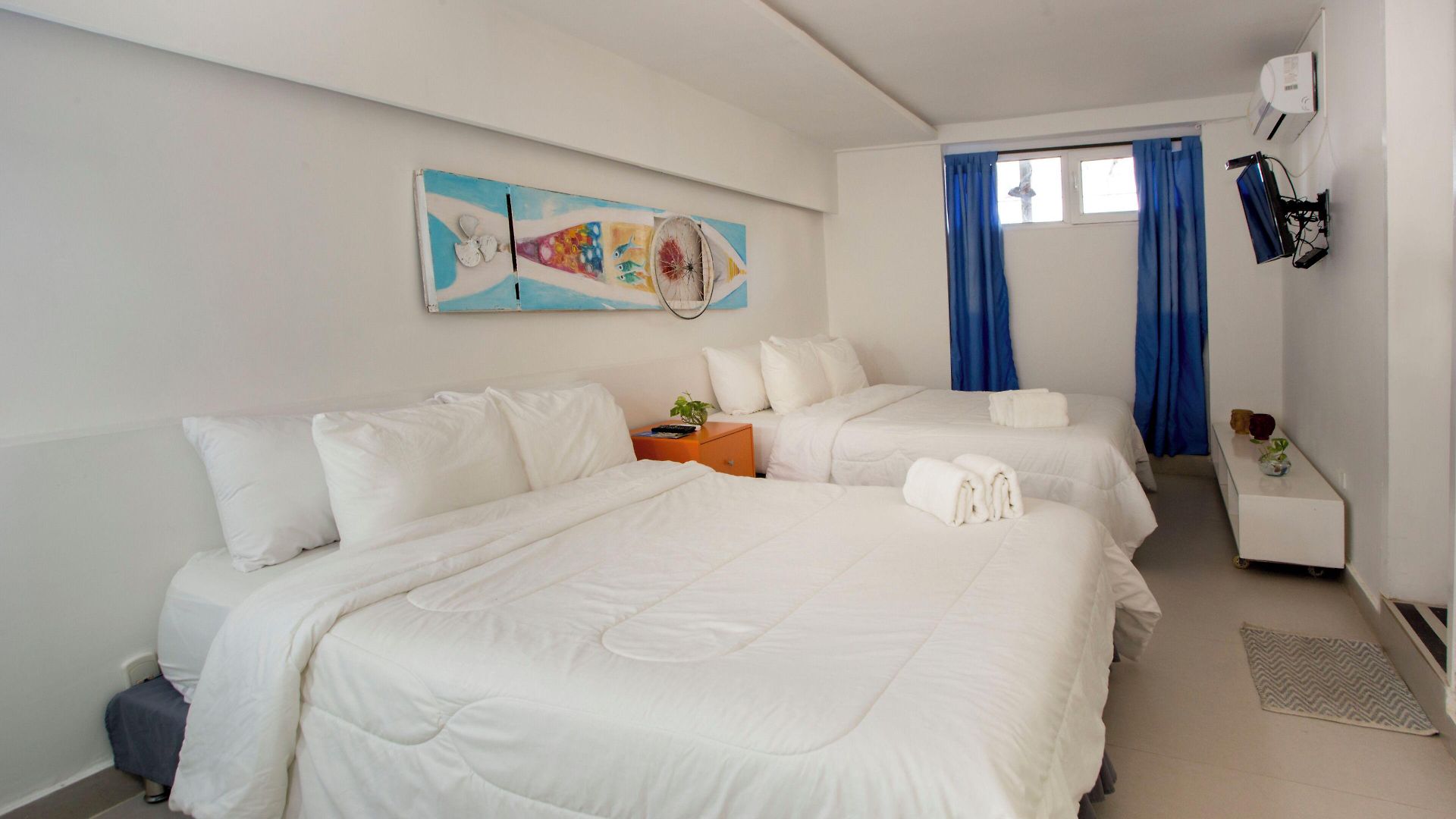 Barahona Cartagena