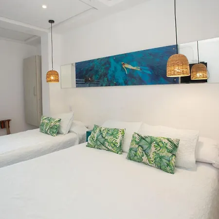 Barahona Cartagena