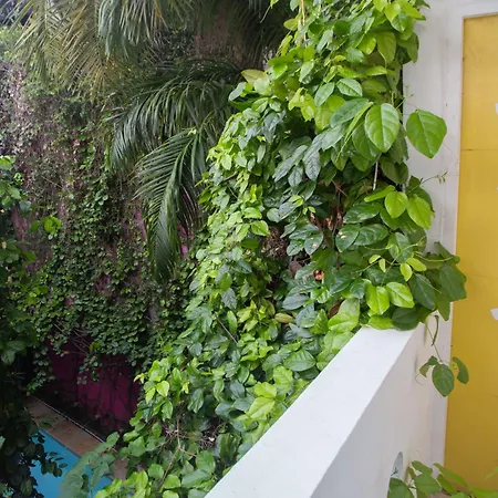 Barahona Hotel